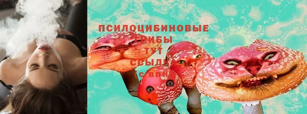 apvp Осинники